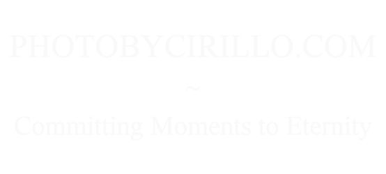 photobycirillo.com